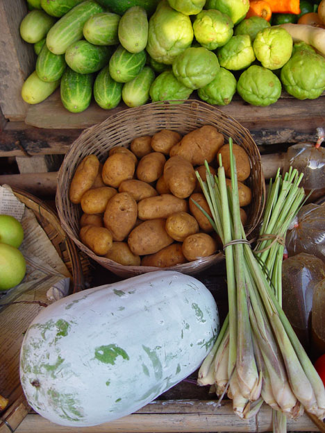 Markttag – „Ich hab Obsttag, Fischtag, Blumenkohltag. Die Büchse mit Ravioli bleibt zu denn ich hab