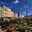 Markttag im Mai, Ried im Innkreis