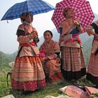 Markttag in Can Cau, Nähe von Bac Ha