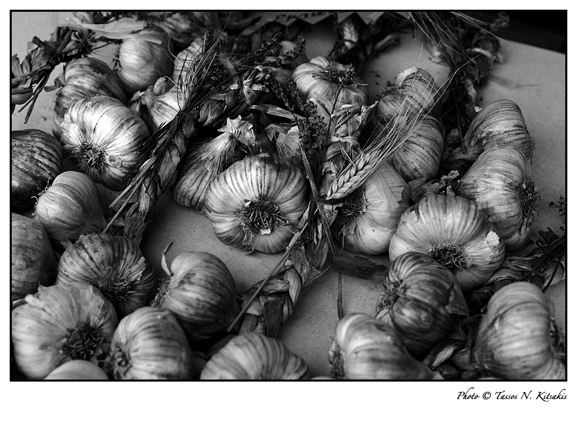 Markttag in der Provence • Marché provençale