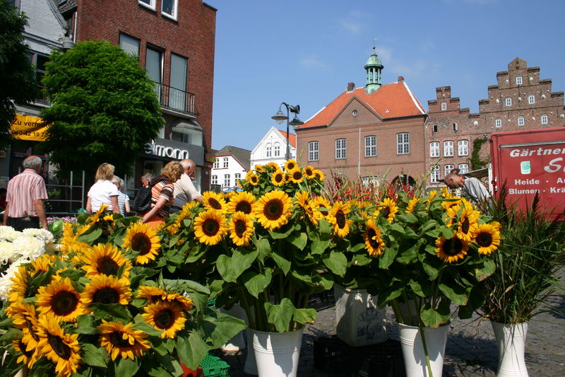 Markttag in Husum