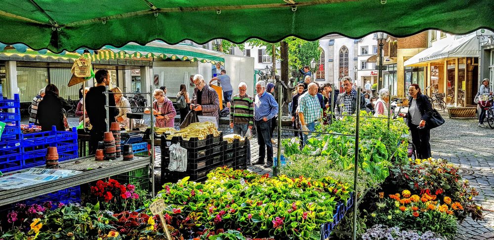 Markttag in Kempen