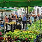 Markttag in Kempen