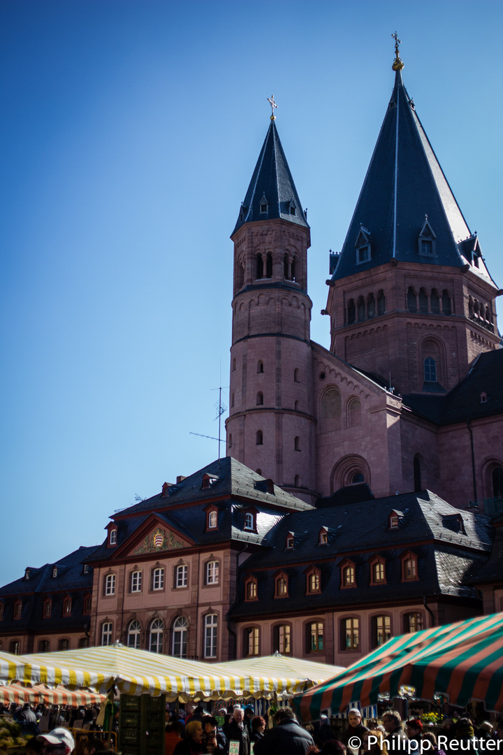 Markttag in Mainz