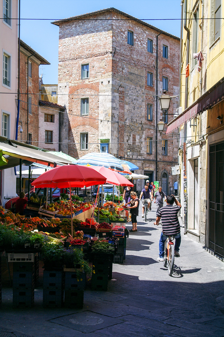 Markttag in Pisa