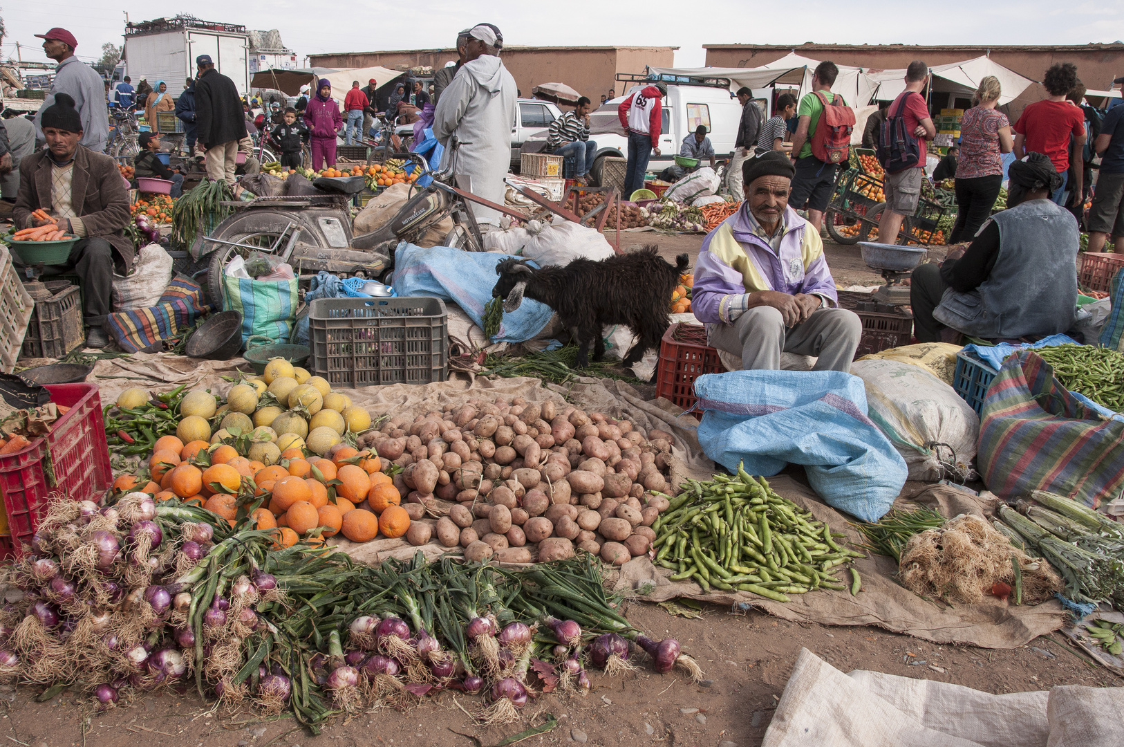 Markttag in Skoura