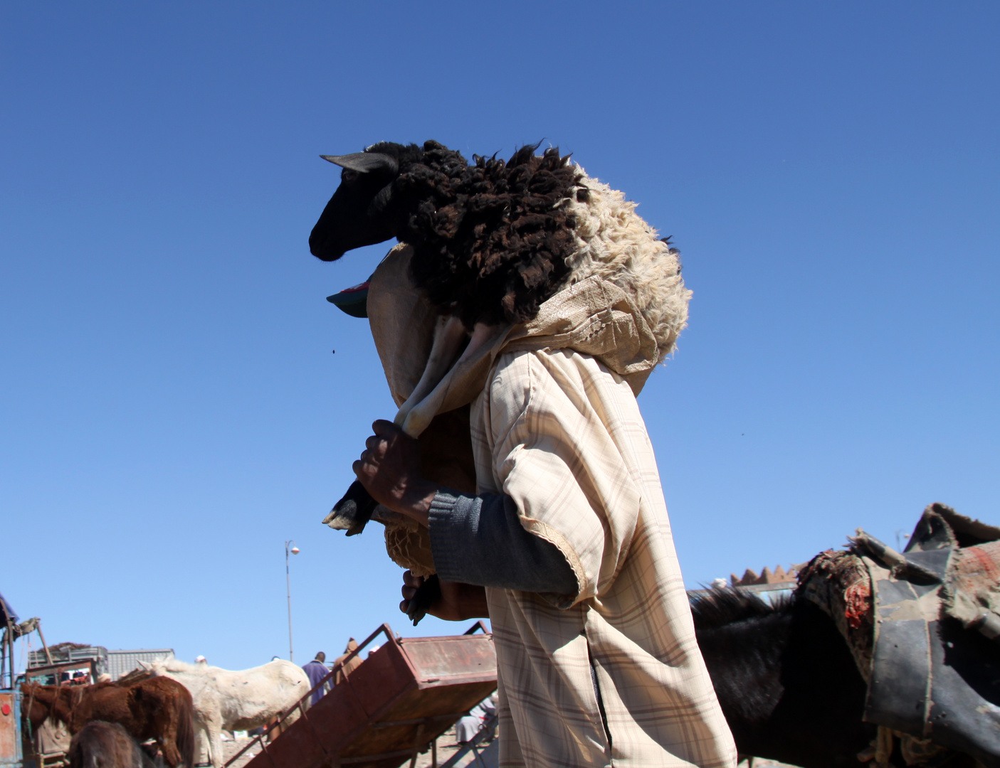 Markttag in Zagora