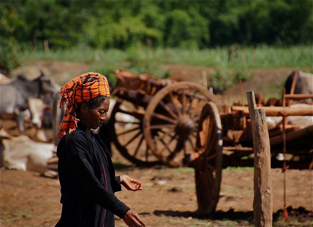 markttag, inle see, burma 2011