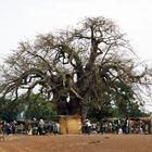 Markttag unter'm Baobob-Baum