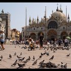 Markusplatz (Venedig)