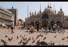 Markusplatz (Venedig)