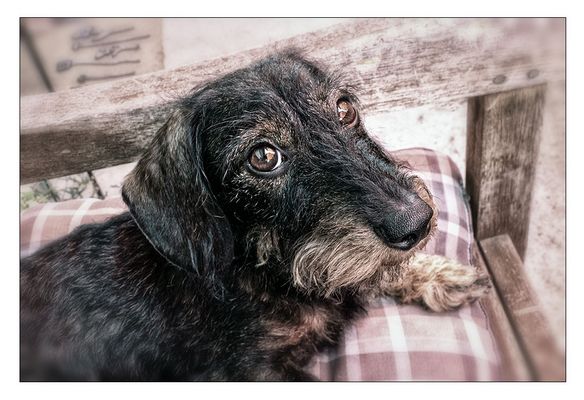 Marla Peppels erholt sich