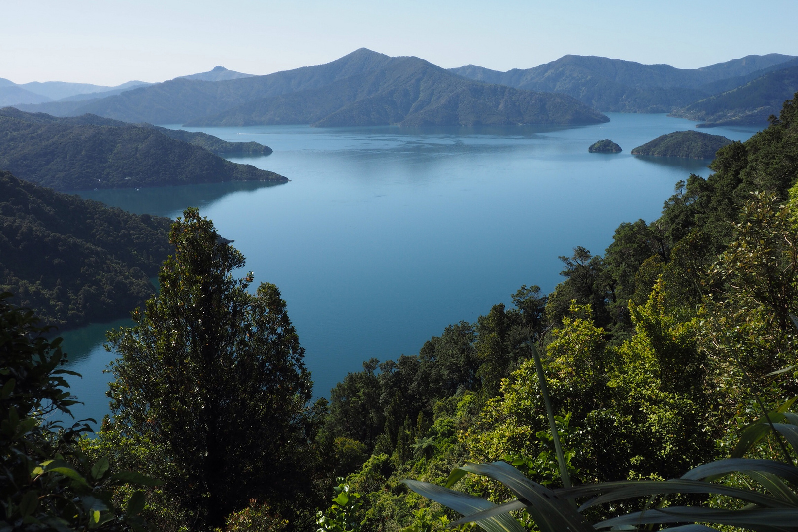 Marlborough Sound