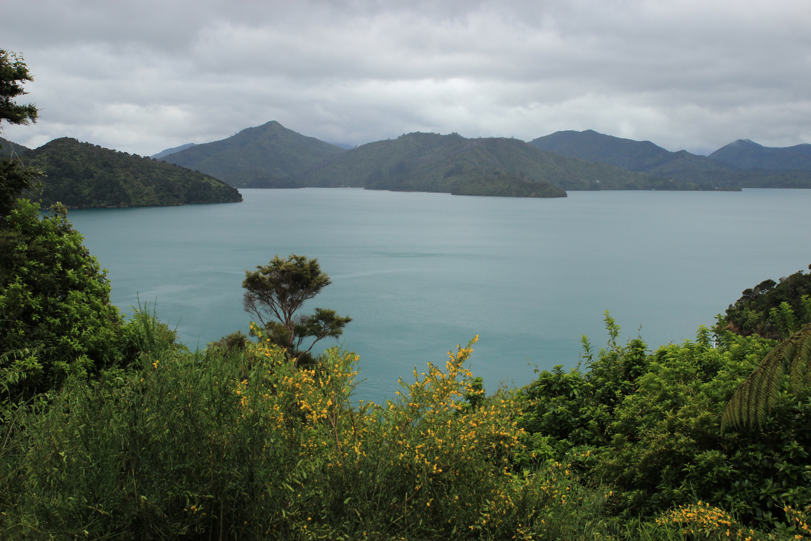 Marlborough Sound