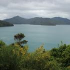 Marlborough Sound