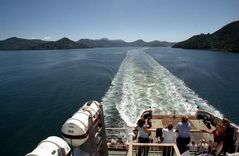 Marlborough Sounds 2