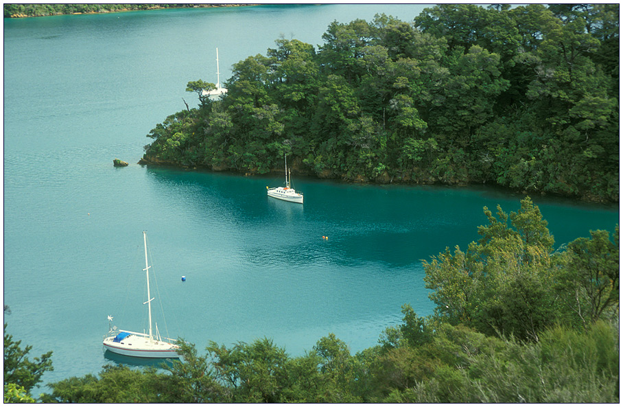 Marlborough Sounds