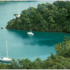 Marlborough Sounds