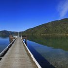 ~ Marlborough Sounds ~