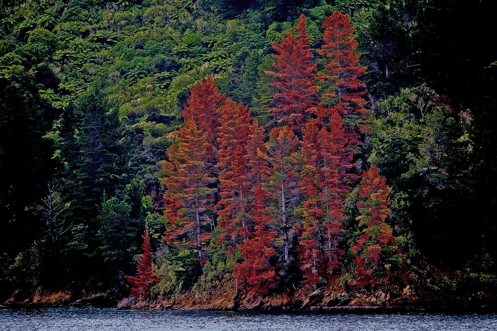 Marlborough Sounds