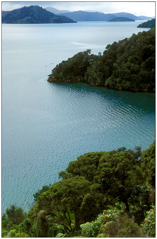 Marlborough Sounds II