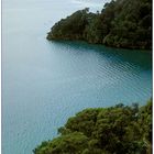 Marlborough Sounds II