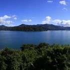 ~ Marlborough Sounds II ~