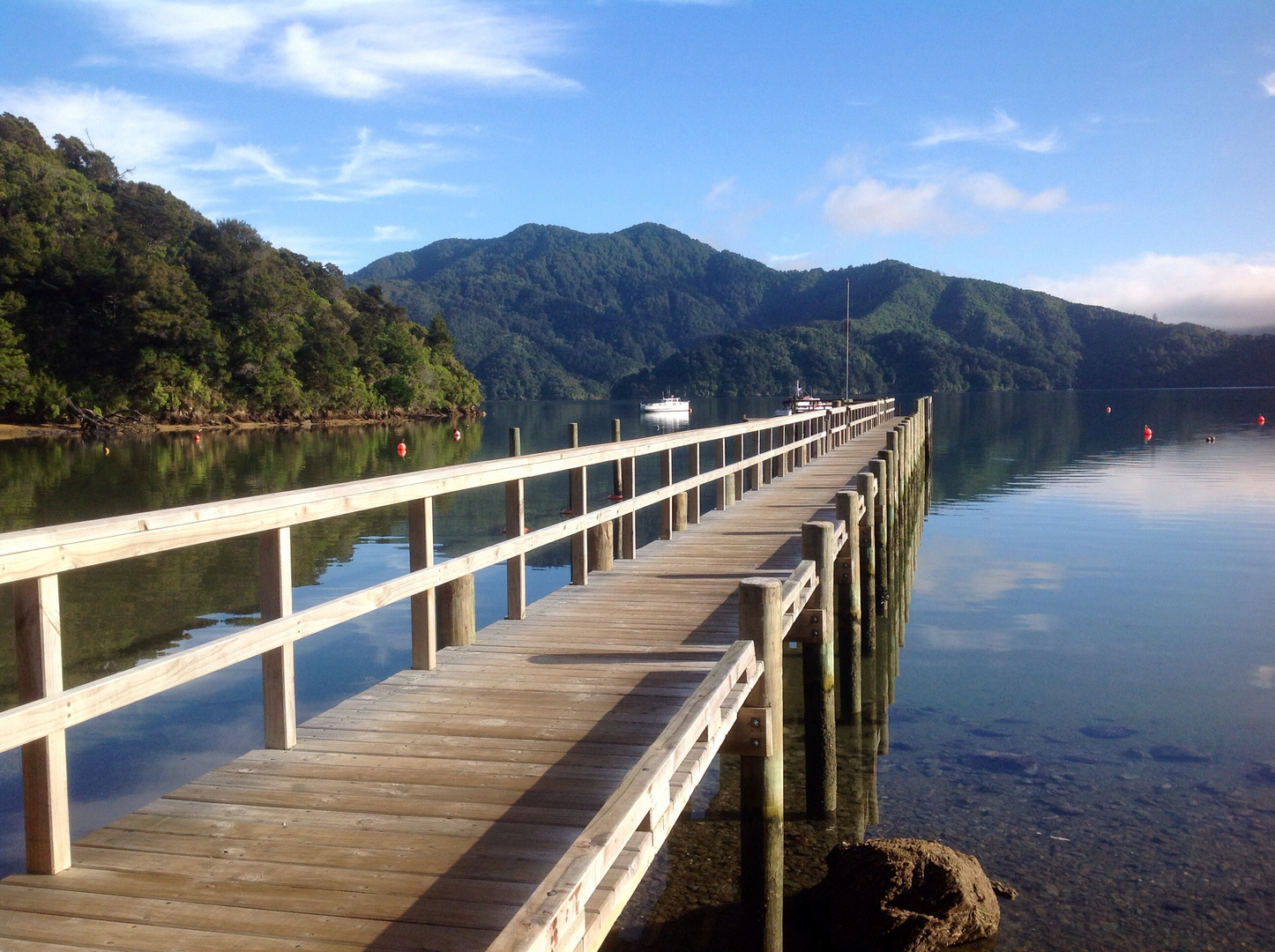 Marlborough Sounds Neuseeland