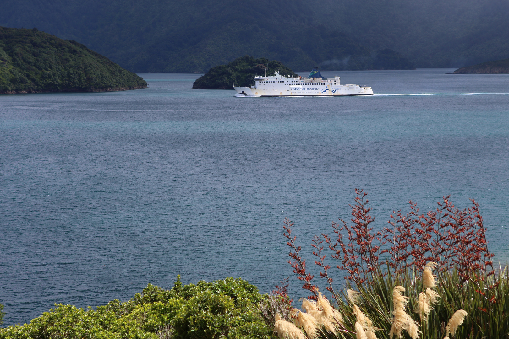 Marlborough Sounds, NZ