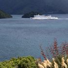 Marlborough Sounds, NZ