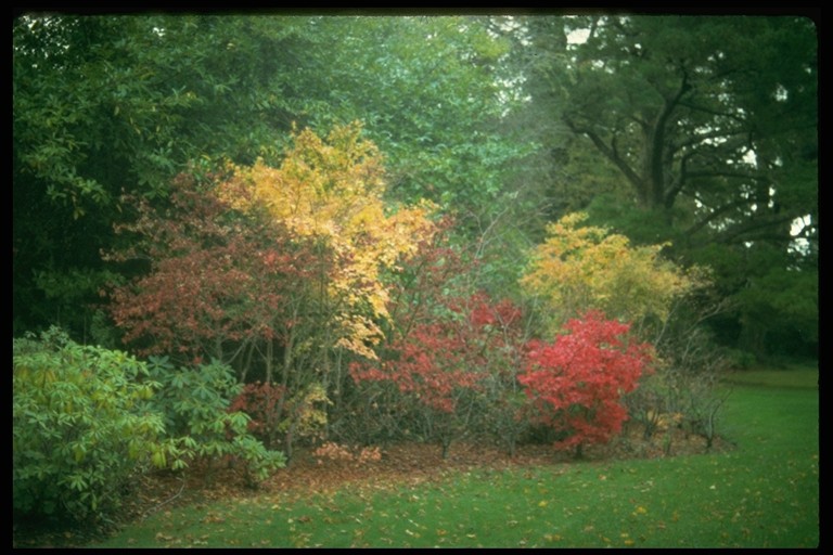 Marley Park Dublin