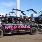 Marlies die Wildkatze