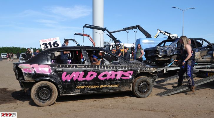 Marlies die Wildkatze