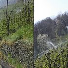 Marlinger Waalweg (3D)