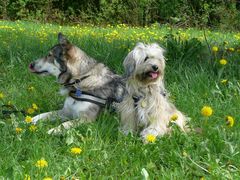 Marlo & Rhaya im Löwenzahn