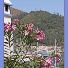 Marmaris