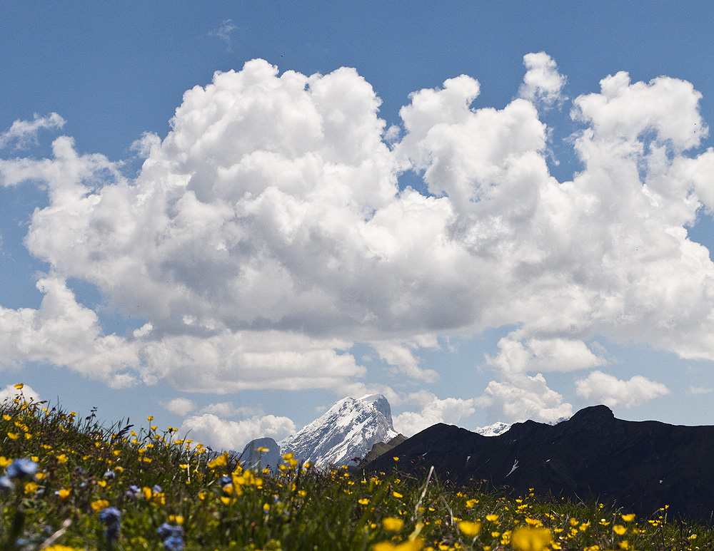 Marmolada