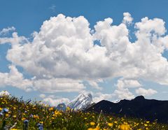 Marmolada