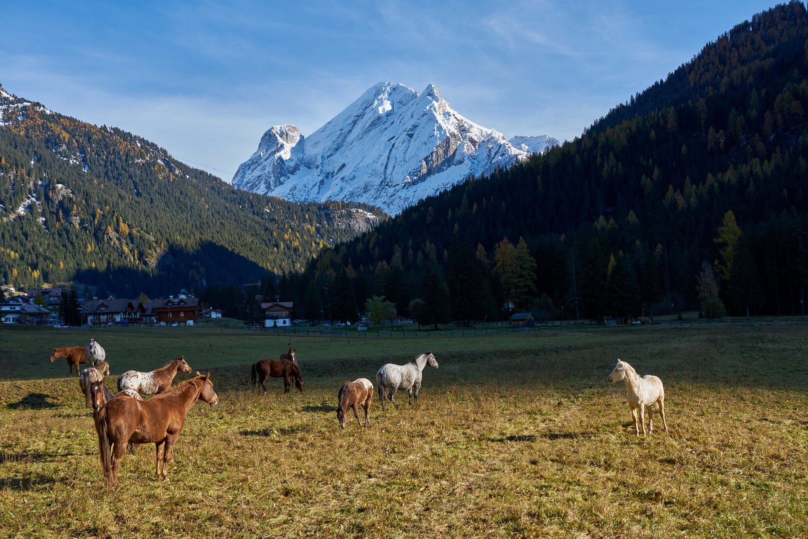 Marmolada