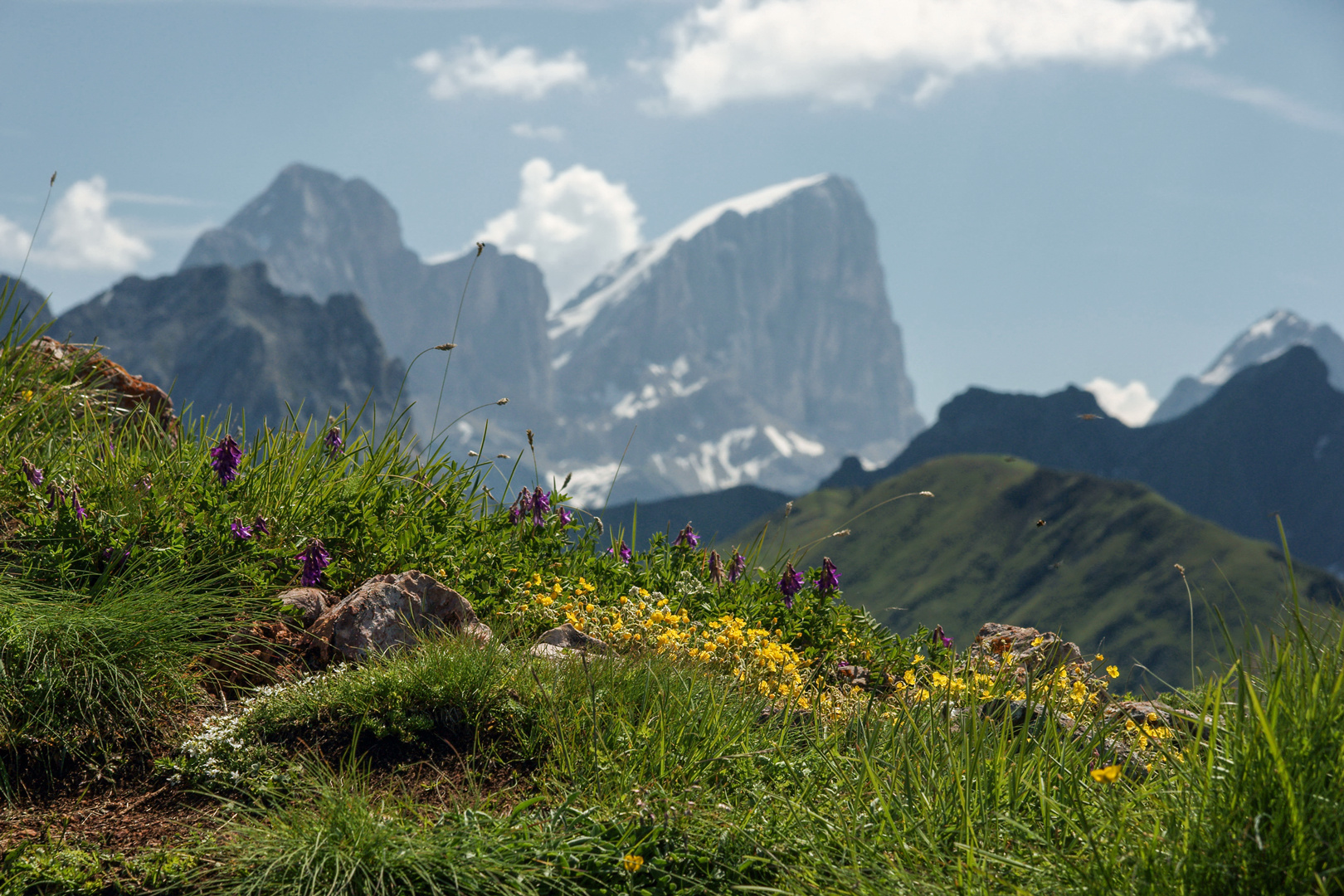 Marmolada