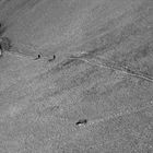 Marmolada: the glacier