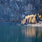 Marmorera Stausee im Herbstlicht