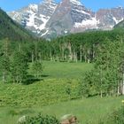 Marmott at Maroon Bells