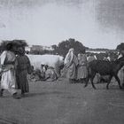 Maroc - 1920 (16)