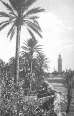 Maroc - 1920 (173)