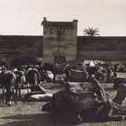 Maroc - 1920 (23)