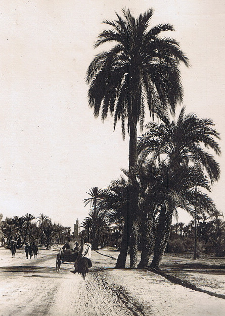 Maroc - 1920 (28)