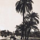 Maroc - 1920 (28)