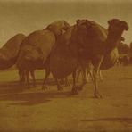 Maroc - 1920 (3)