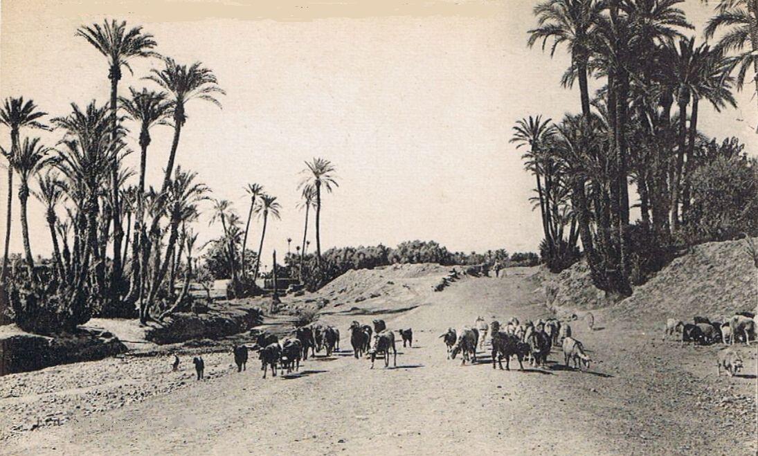 Maroc - 1920 (69)